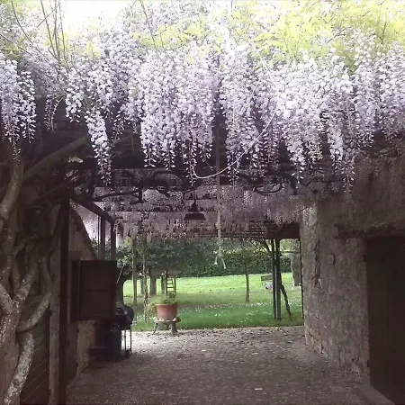 La Chioccia Penna in Teverina